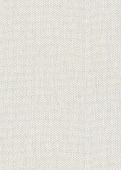 Échantillon Zinnia Blanc Gris 