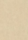 Échantillon Azalée Beige 