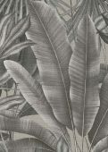 Échantillon Diego Gris Foncé 