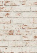 Échantillon Maxence Beige Marron 