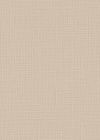 Stanislas Beige 