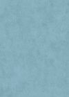 Firmin Bleu Clair 