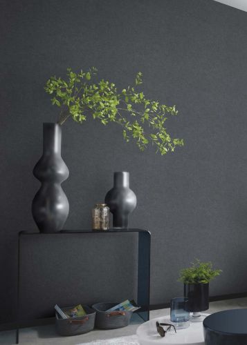 Jane Anthracite  - hover