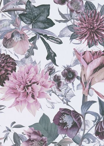 Lila Gris Lilas 