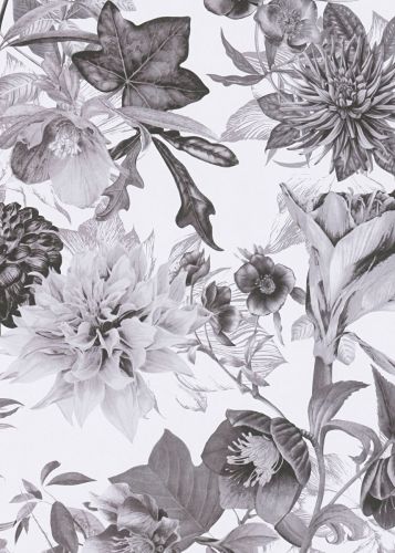 Lila Gris 