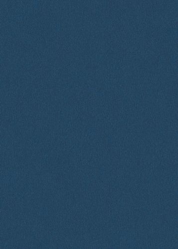 Nicolas Bleu Nuit  