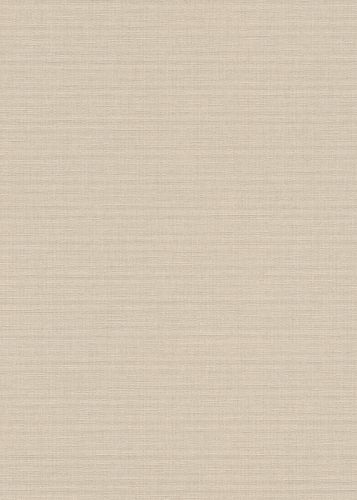 David Beige 