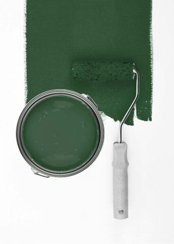 Sage Green "c5005"
