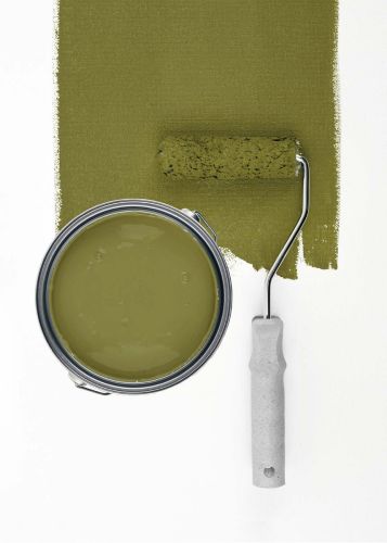 Gentle Lime "c6009"