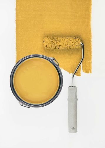 Sunny Yellow "c8002"