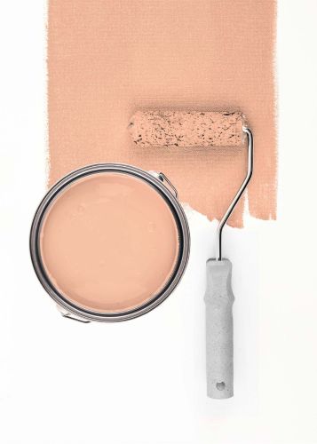 Diverse Apricot "c9012"